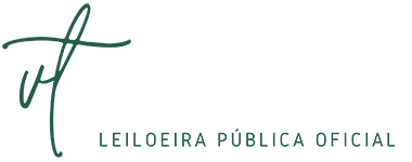 Vera Tostes Leilões